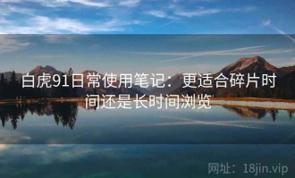 白虎91日常使用笔记：更适合碎片时间还是长时间浏览