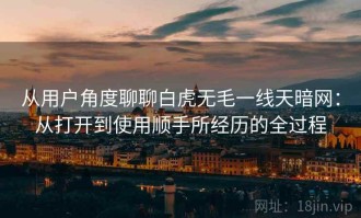 从用户角度聊聊白虎无毛一线天暗网：从打开到使用顺手所经历的全过程