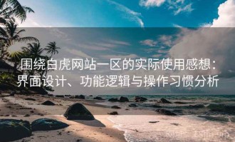 围绕白虎网站一区的实际使用感想：界面设计、功能逻辑与操作习惯分析