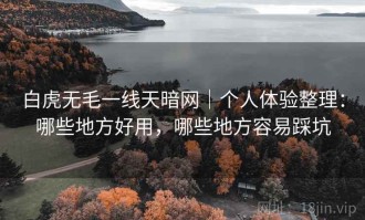 白虎无毛一线天暗网｜个人体验整理：哪些地方好用，哪些地方容易踩坑