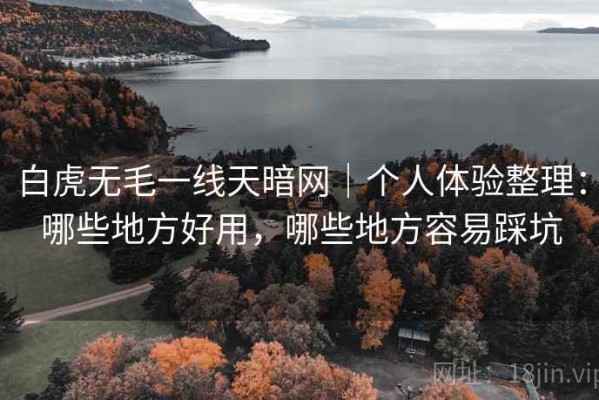 白虎无毛一线天暗网｜个人体验整理：哪些地方好用，哪些地方容易踩坑