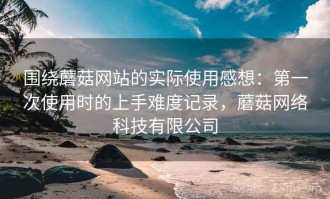 围绕蘑菇网站的实际使用感想：第一次使用时的上手难度记录，蘑菇网络科技有限公司