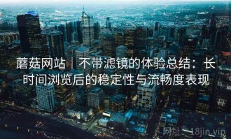 蘑菇网站｜不带滤镜的体验总结：长时间浏览后的稳定性与流畅度表现