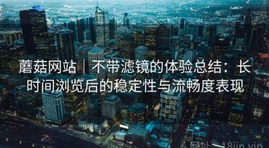 蘑菇网站｜不带滤镜的体验总结：长时间浏览后的稳定性与流畅度表现