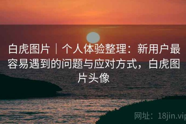 白虎图片｜个人体验整理：新用户最容易遇到的问题与应对方式，白虎图片头像