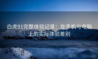 白虎91完整体验记录：在手机与电脑上的实际体验差别