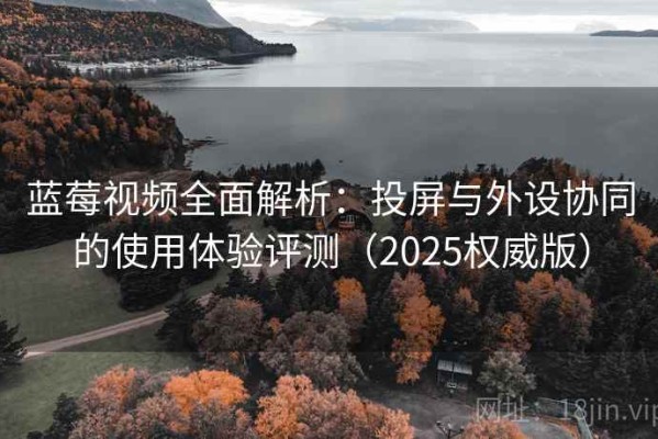 蓝莓视频全面解析：投屏与外设协同的使用体验评测（2025权威版）