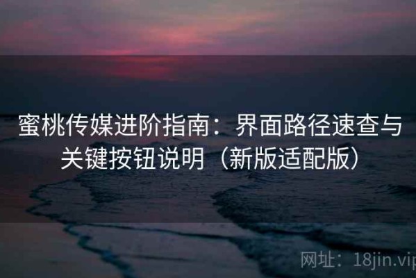 蜜桃传媒进阶指南：界面路径速查与关键按钮说明（新版适配版）