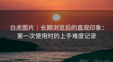 白虎图片｜长期浏览后的直观印象：第一次使用时的上手难度记录