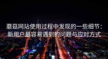 蘑菇网站使用过程中发现的一些细节：新用户最容易遇到的问题与应对方式