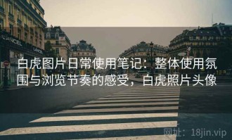 白虎图片日常使用笔记：整体使用氛围与浏览节奏的感受，白虎照片头像