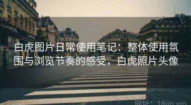 白虎图片日常使用笔记：整体使用氛围与浏览节奏的感受，白虎照片头像