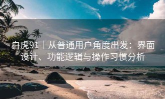 白虎91｜从普通用户角度出发：界面设计、功能逻辑与操作习惯分析