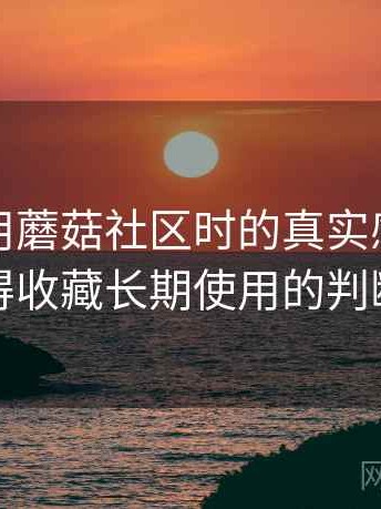 第一次用蘑菇社区时的真实感受：值不值得收藏长期使用的判断依据