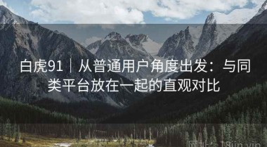 白虎91｜从普通用户角度出发：与同类平台放在一起的直观对比