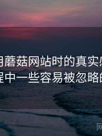 第一次用蘑菇网站时的真实感受：使用过程中一些容易被忽略的细节