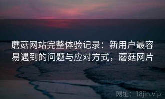 蘑菇网站完整体验记录：新用户最容易遇到的问题与应对方式，蘑菇网片
