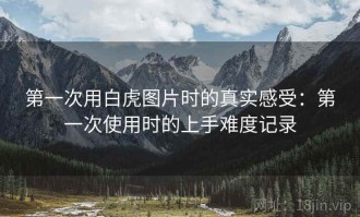 第一次用白虎图片时的真实感受：第一次使用时的上手难度记录
