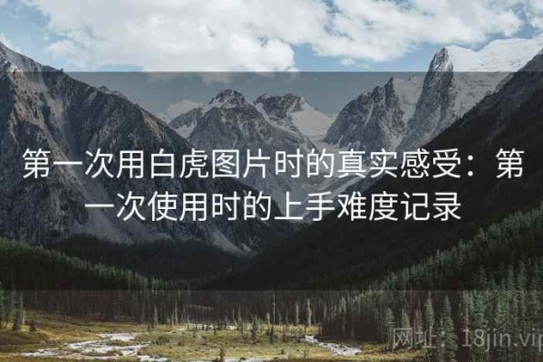 第一次用白虎图片时的真实感受：第一次使用时的上手难度记录
