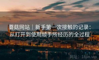 蘑菇网站｜新手第一次接触的记录：从打开到使用顺手所经历的全过程