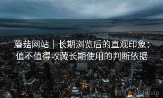 蘑菇网站｜长期浏览后的直观印象：值不值得收藏长期使用的判断依据