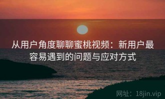 从用户角度聊聊蜜桃视频：新用户最容易遇到的问题与应对方式