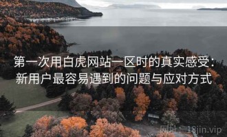 第一次用白虎网站一区时的真实感受：新用户最容易遇到的问题与应对方式