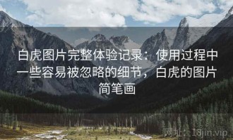 白虎图片完整体验记录：使用过程中一些容易被忽略的细节，白虎的图片简笔画