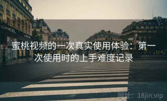 蜜桃视频的一次真实使用体验：第一次使用时的上手难度记录