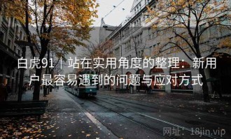 白虎91｜站在实用角度的整理：新用户最容易遇到的问题与应对方式