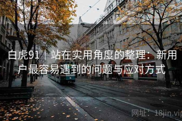 白虎91｜站在实用角度的整理：新用户最容易遇到的问题与应对方式