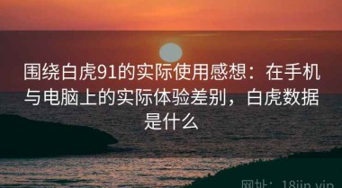 围绕白虎91的实际使用感想：在手机与电脑上的实际体验差别，白虎数据是什么