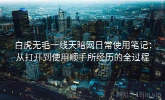 白虎无毛一线天暗网日常使用笔记：从打开到使用顺手所经历的全过程