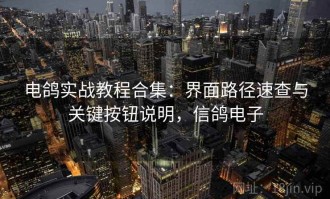 电鸽实战教程合集：界面路径速查与关键按钮说明，信鸽电子