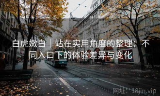 白虎嫩白｜站在实用角度的整理：不同入口下的体验差异与变化