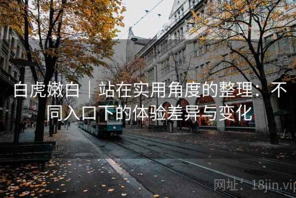 白虎嫩白｜站在实用角度的整理：不同入口下的体验差异与变化