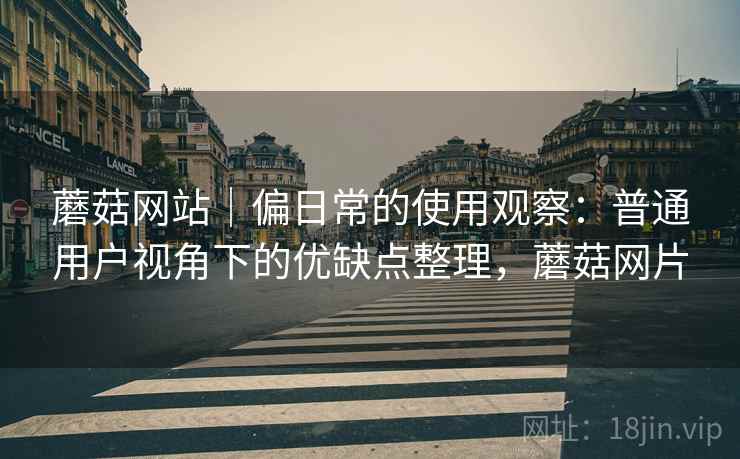 蘑菇网站｜偏日常的使用观察：普通用户视角下的优缺点整理，蘑菇网片