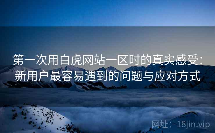 第一次用白虎网站一区时的真实感受：新用户最容易遇到的问题与应对方式