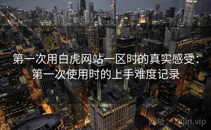 第一次用白虎网站一区时的真实感受：第一次使用时的上手难度记录
