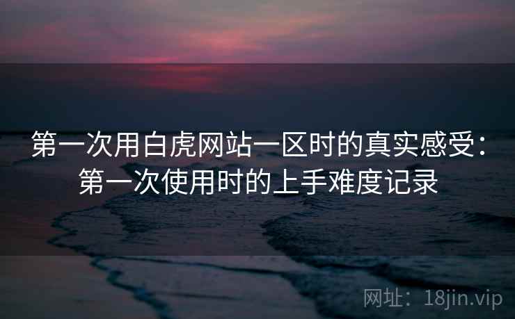 第一次用白虎网站一区时的真实感受：第一次使用时的上手难度记录