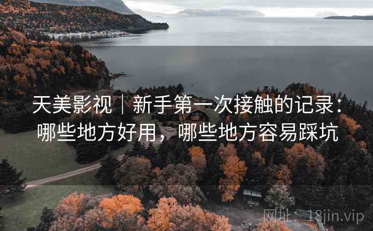 天美影视｜新手第一次接触的记录：哪些地方好用，哪些地方容易踩坑