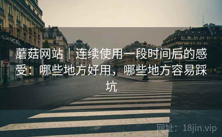 蘑菇网站|连续使用一段时间后的感受:哪些地方好用,哪些地方容易踩坑 蘑菇网站|连续使用一段时间后的感受:哪些地方好用,哪些地方容易踩坑