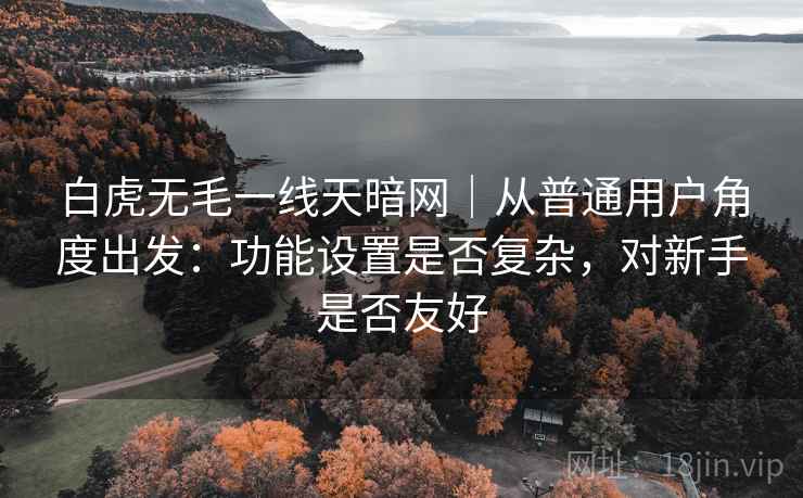 白虎无毛一线天暗网｜从普通用户角度出发：功能设置是否复杂，对新手是否友好