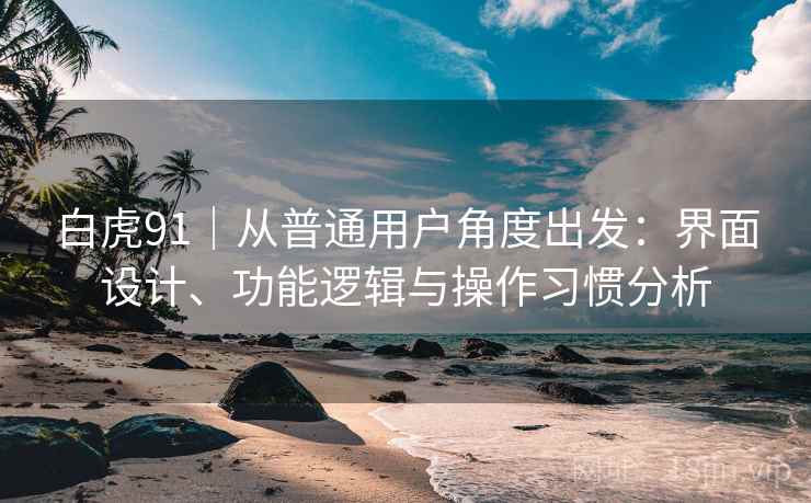 白虎91|从普通用户角度出发:界面设计、功能逻辑与操作习惯分析 白虎91|从普通用户角度出发:界面设计、功能逻辑与操作习惯分析