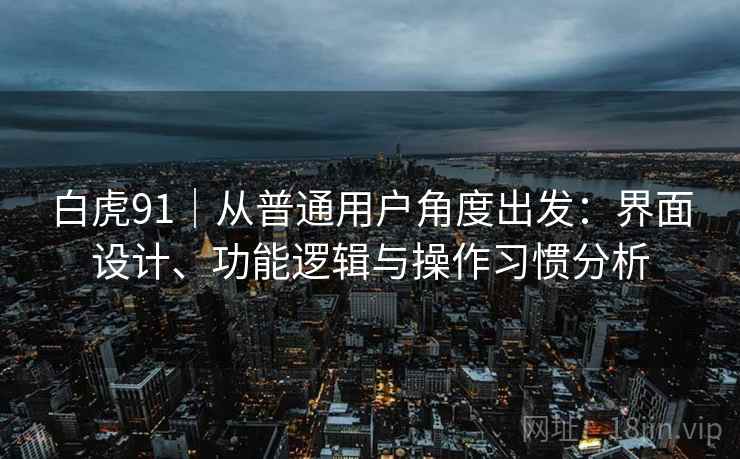 白虎91|从普通用户角度出发:界面设计、功能逻辑与操作习惯分析 白虎91|从普通用户角度出发:界面设计、功能逻辑与操作习惯分析