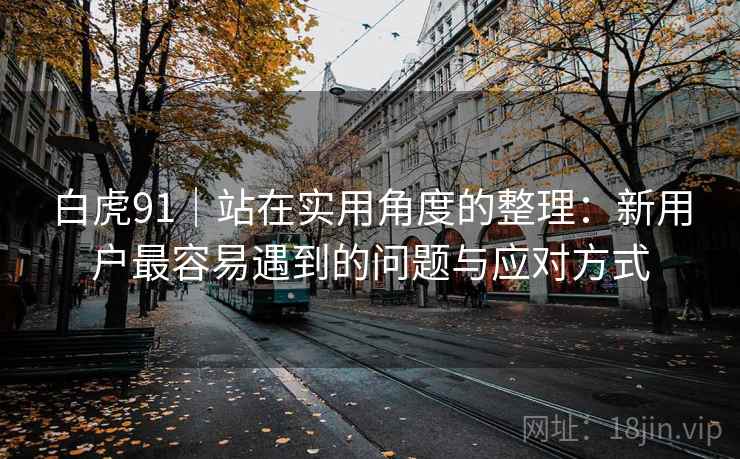 白虎91|站在实用角度的整理:新用户最容易遇到的问题与应对方式 白虎91|站在实用角度的整理:新用户最容易遇到的问题与应对方式
