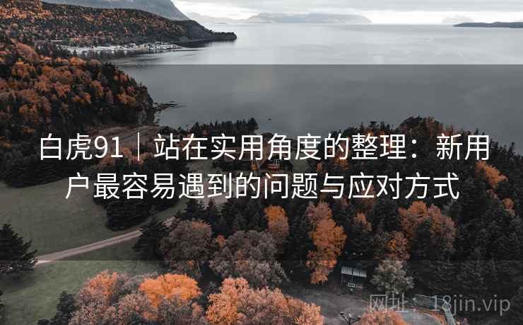 白虎91|站在实用角度的整理:新用户最容易遇到的问题与应对方式 白虎91|站在实用角度的整理:新用户最容易遇到的问题与应对方式