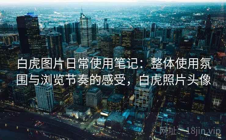 白虎图片日常使用笔记:整体使用氛围与浏览节奏的感受,白虎照片头像 白虎图片日常使用笔记:整体使用氛围与浏览节奏的感受,白虎照片头像