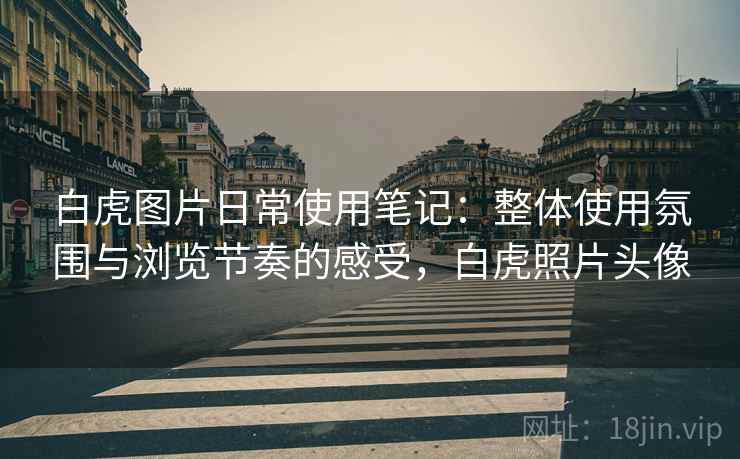 白虎图片日常使用笔记:整体使用氛围与浏览节奏的感受,白虎照片头像 白虎图片日常使用笔记:整体使用氛围与浏览节奏的感受,白虎照片头像