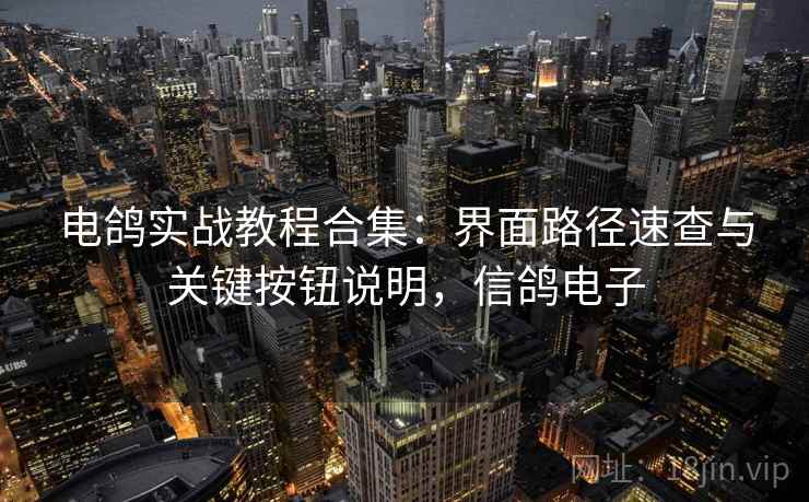电鸽实战教程合集:界面路径速查与关键按钮说明,信鸽电子 电鸽实战教程合集:界面路径速查与关键按钮说明,信鸽电子